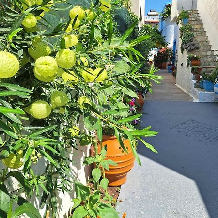 Βig Βlue Apartments Makriyialós Ngoại thất bức ảnh