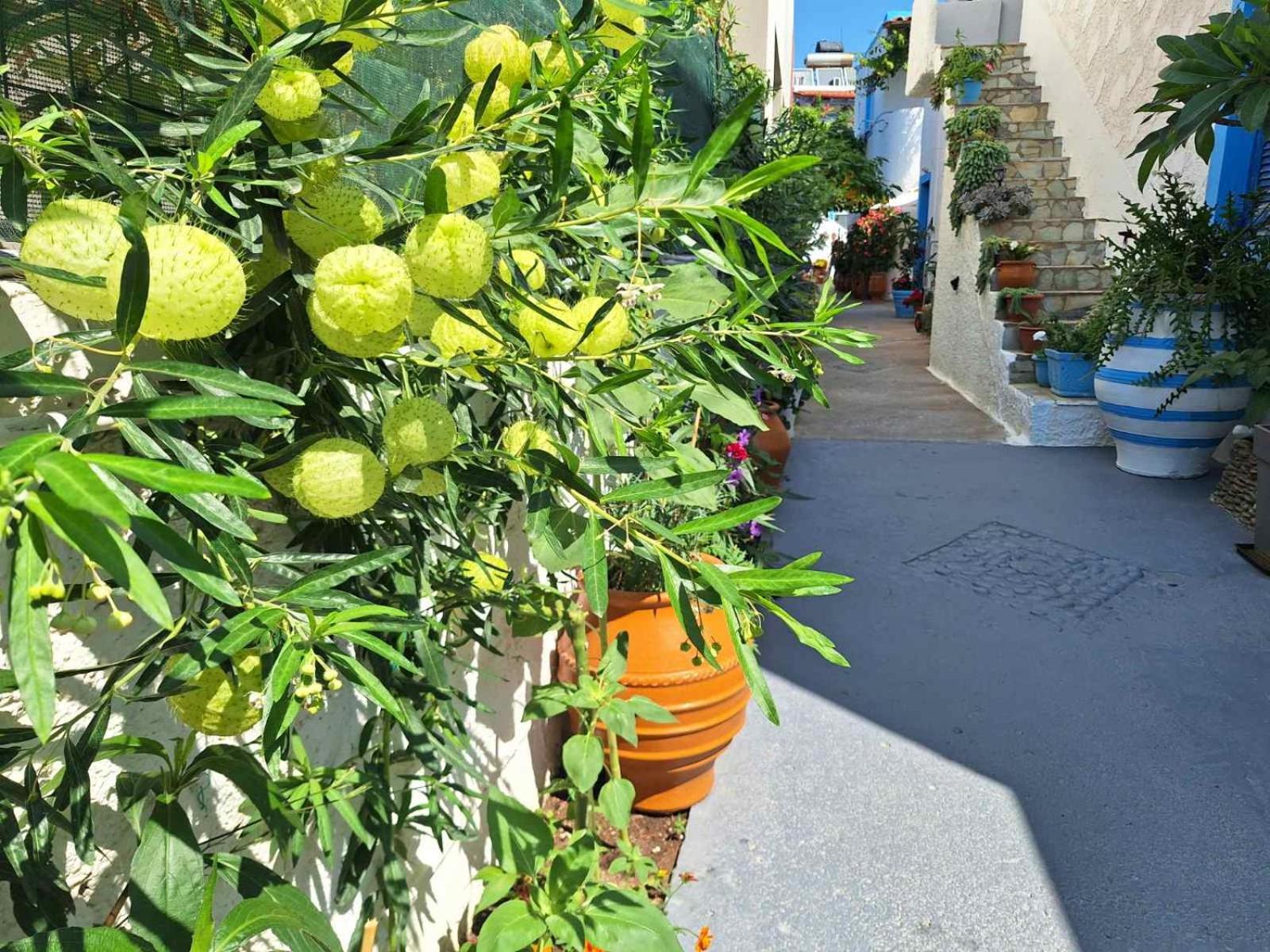 Βig Βlue Apartments Makriyialós Ngoại thất bức ảnh